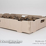 Walnuss-Steige Detail