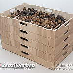 Walnuss-Steige Stack